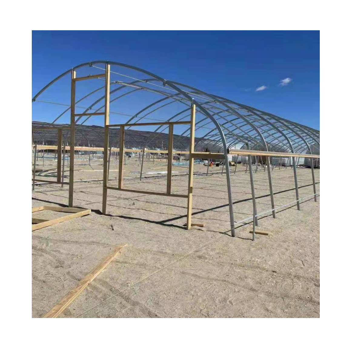 Galvanized steel Frame Single family greenhouse for Agriculture Low cost Tunnel PE serre tunnel greenhouse