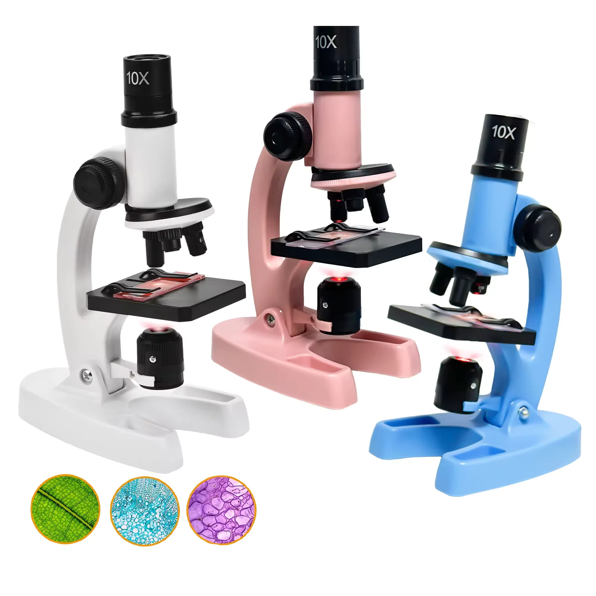 High Configuration W5801 Plastic Student Biological Microscope 300X-1200X for Education and Kids