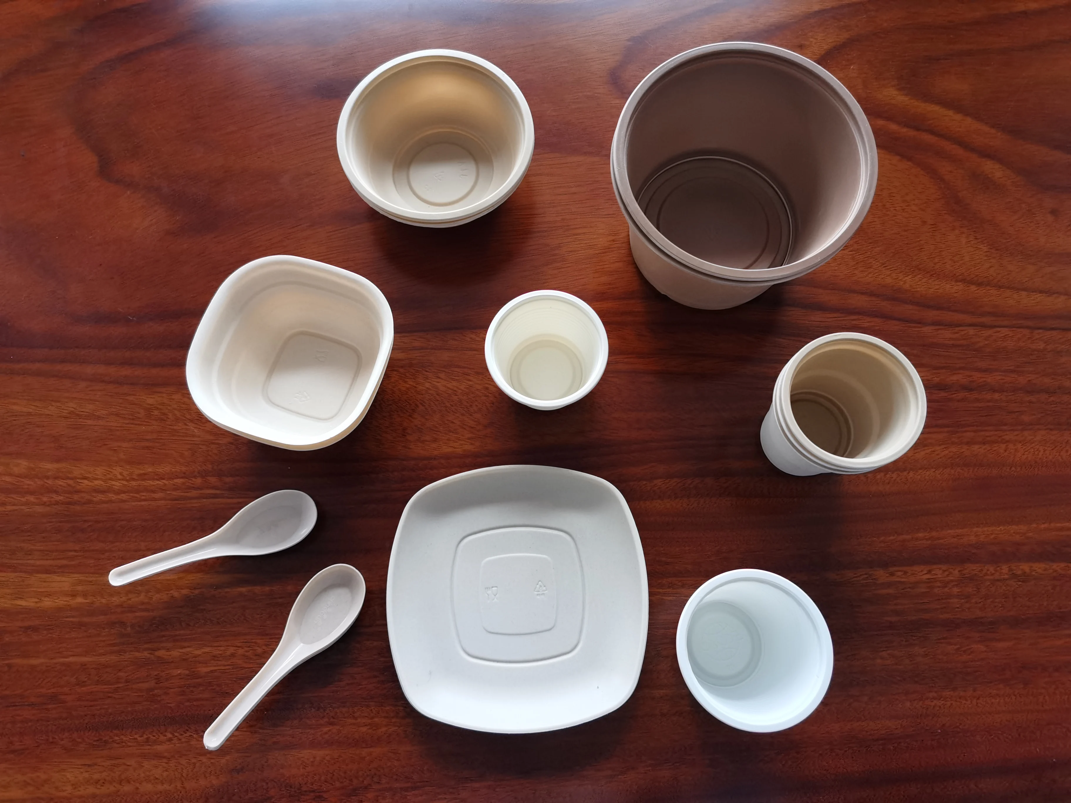 thermoforming vacuum  tableware PLA PBAT corn starch one step forming fast food lunch box production line