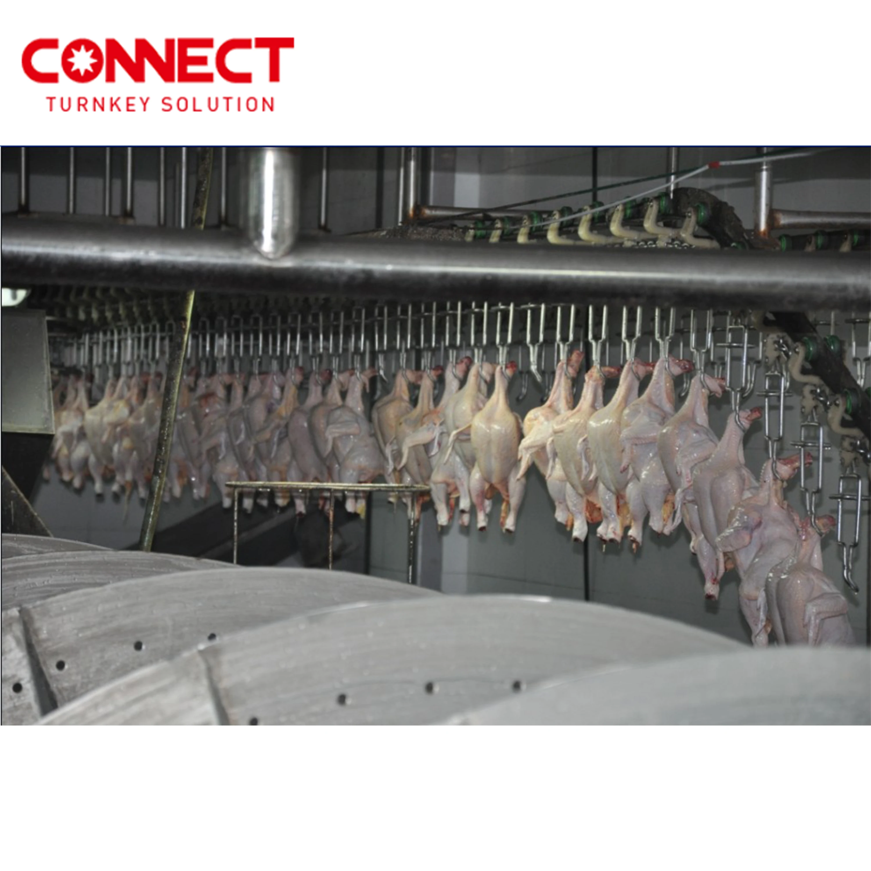 Chicken Feet Processing Chicken Killing Poultry Slaughter Line Chicken Equipment Poultry