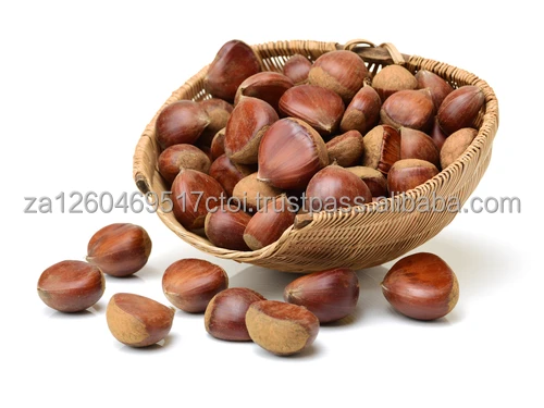 chestnut (1).jpg