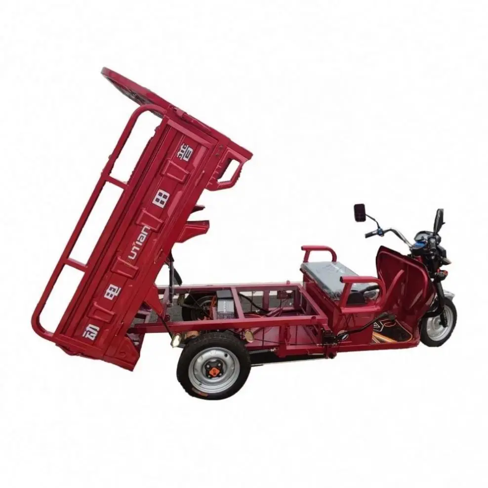 Top And Hot Selling RED Triciclo Tuktuk Electric Part For The Passenger Adult