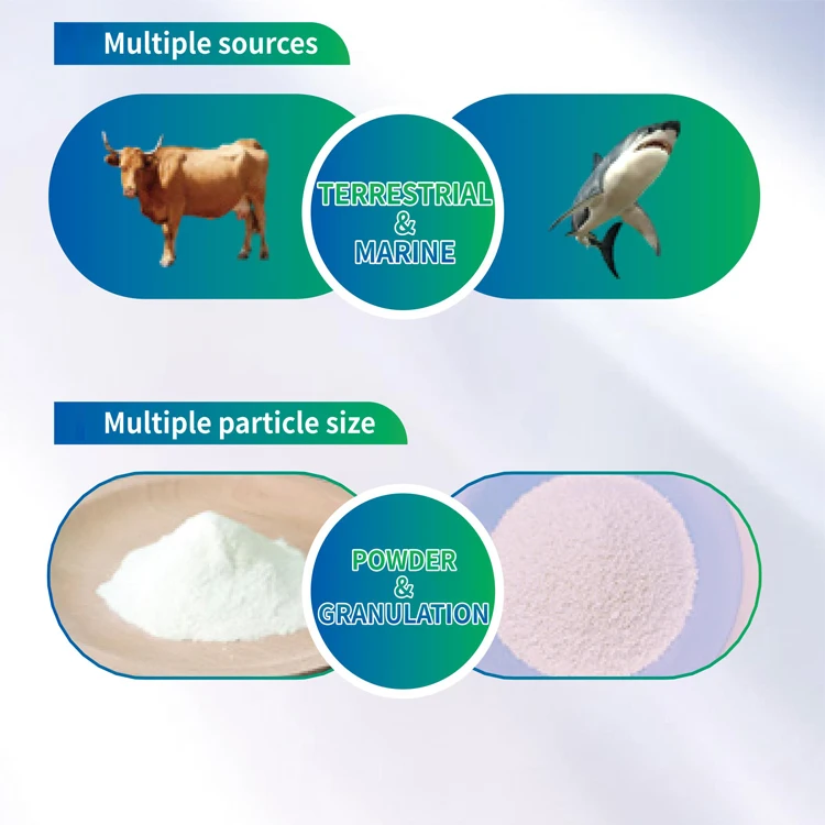 Chondroitin Sulphate  Sodium powder