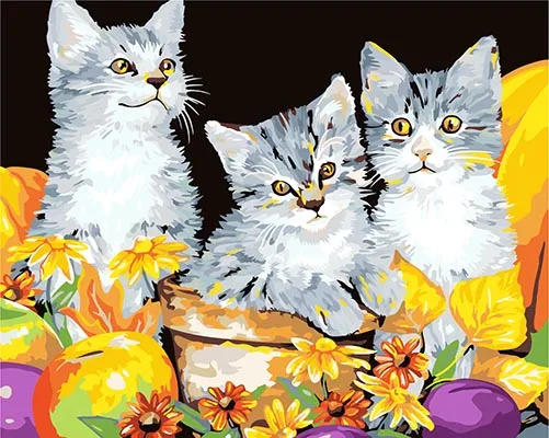 
DIY Oil Painting On Canvas Home Decoration for Living Room CATS 40x50cm (16x20 inch) 