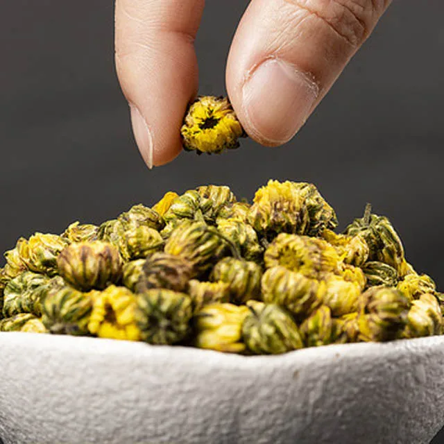 Chrysanthemum Buds Tai Ju Herb Tea Flower High Quality Chrysanthemum Flowering Tea