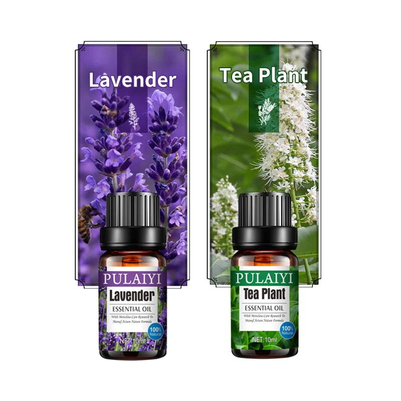 Aromatherapy Essential Oils Private Label Gift Set 10ml Lavender Oil Aromatherapy Essential Oils Set for Diffuser