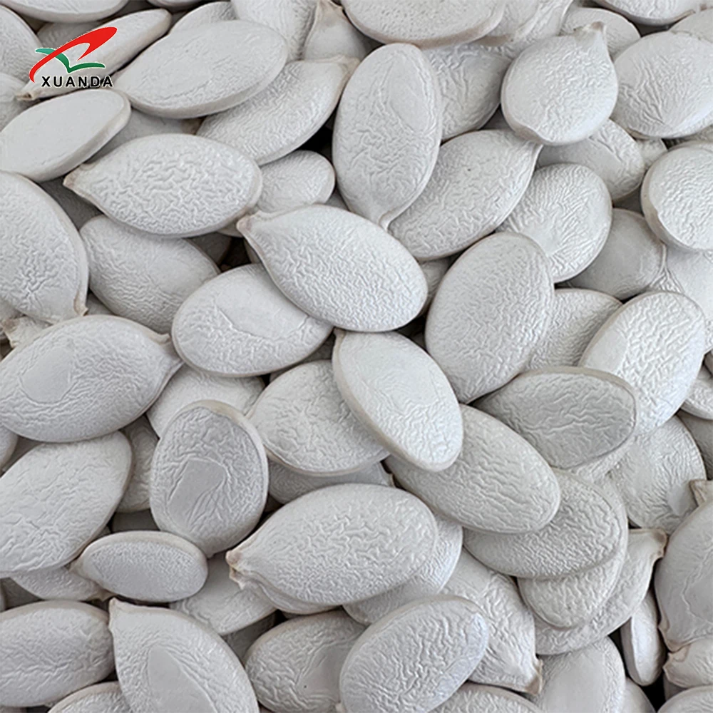Cheap Price New Crop Snow White Unshelled Organic Raw Pumpkin Seeds