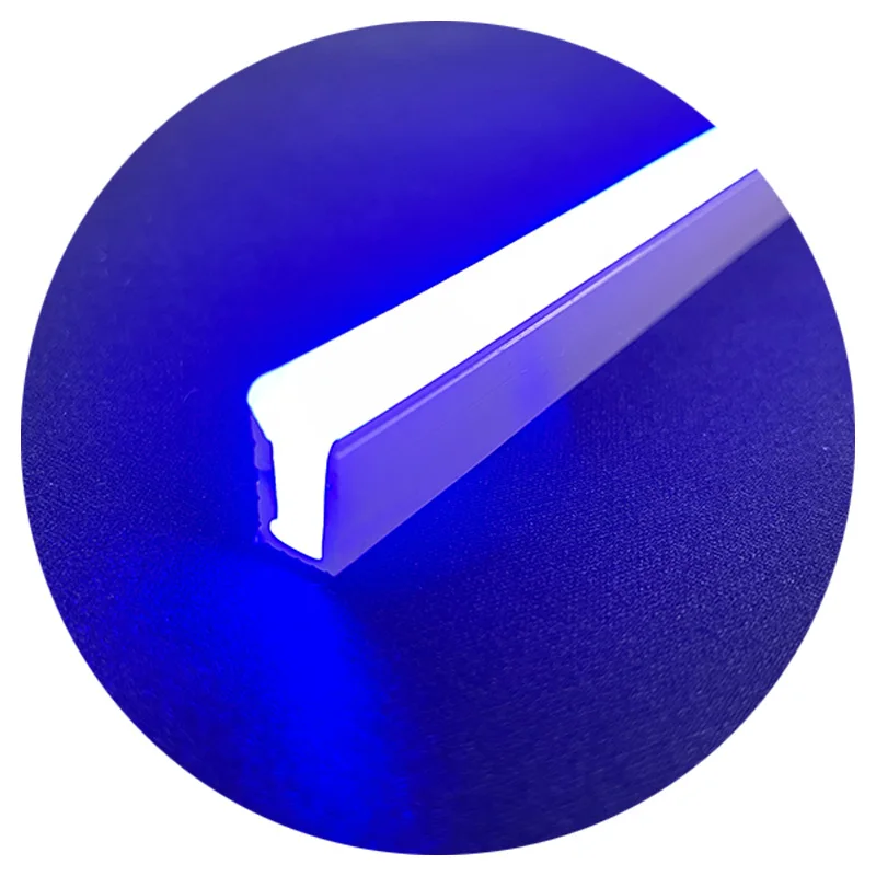 home decor 8mm 8x16mm 2.5cm cuttable DC12V rope first generation silicone led neon light for custom led neon signs