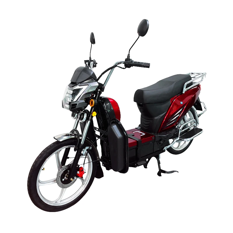 OEM,22 Inch Household Electric Motorcycle,Excursion Electric Bike,800W 60V Lithium Battery Rider Electric Bicycle