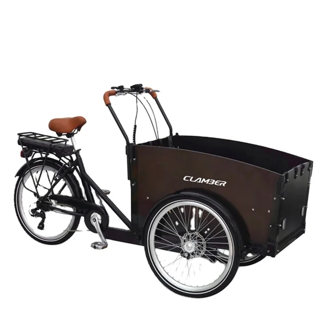 Electric Cargo Bike Made in China Bakfiets Delivery Cargo Urban Family