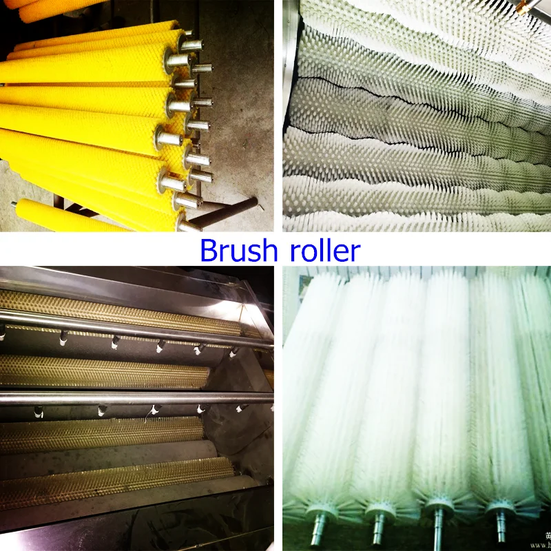 304 stainless steel spice mussel automatic cleaning machine