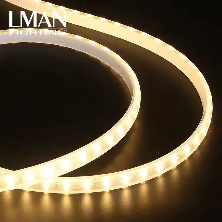 High Brightness Outdoor Party Decoration LED Rope Light IP65 Waterproof 110V 220V SMD2835 Led Strip