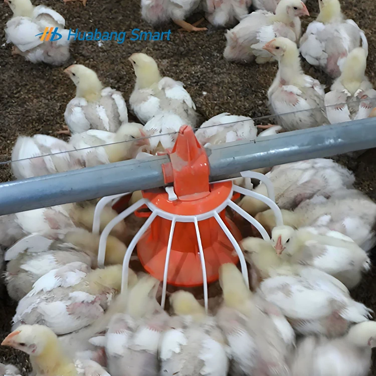 Automatic Feeder Poultry Feed Machine Layer Chickens Fully Auto Raising Equipment