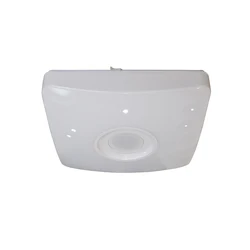 Speakers 18W 24W  Remote Control and APP Control Family Party Star RGB  Music LED Ceiling Light.