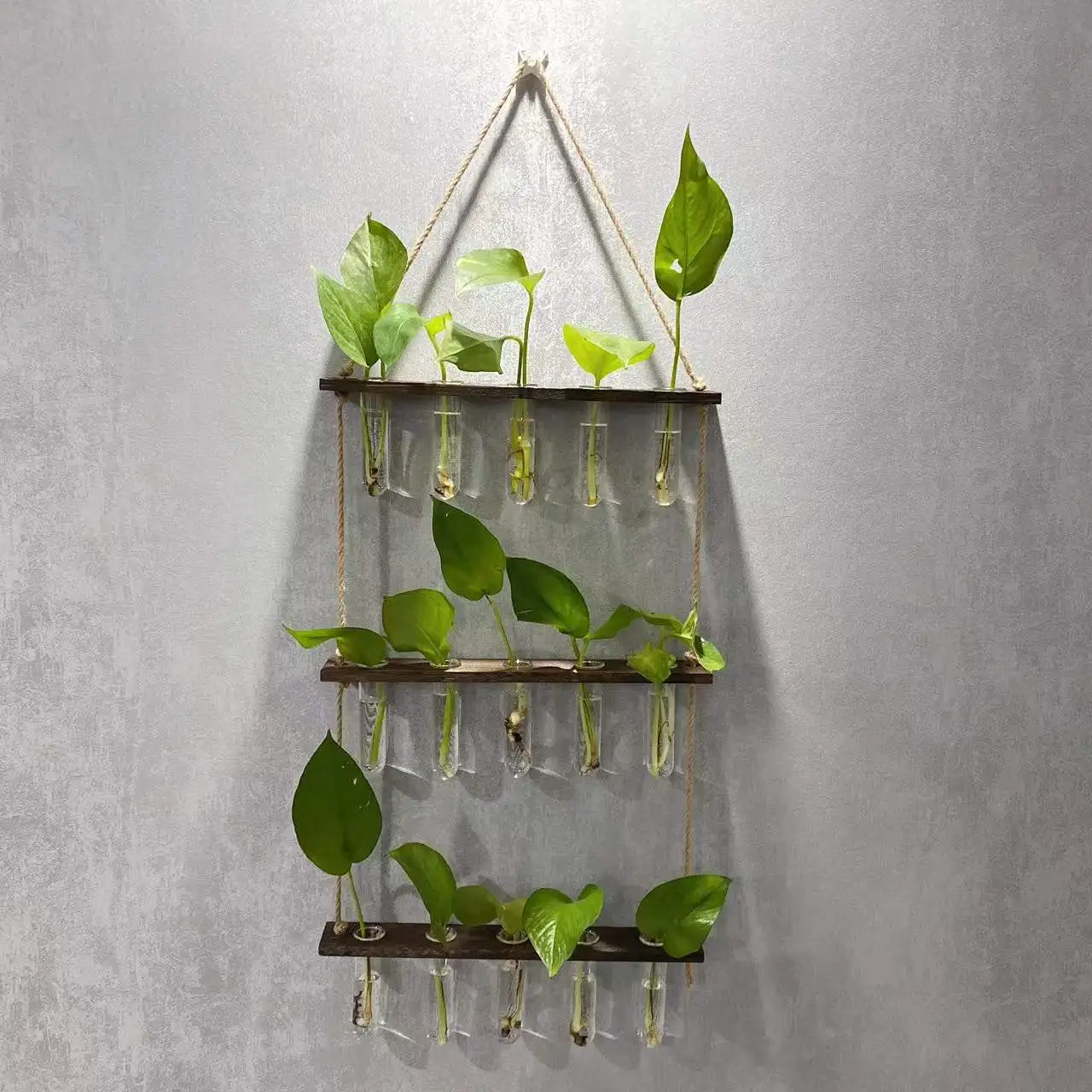 Wall Hanging Propagation Station with Wooden Stand 5 Glass Test Tubes 3 Tiered Wall Terrarium Home Plant Hanger Flower Vases