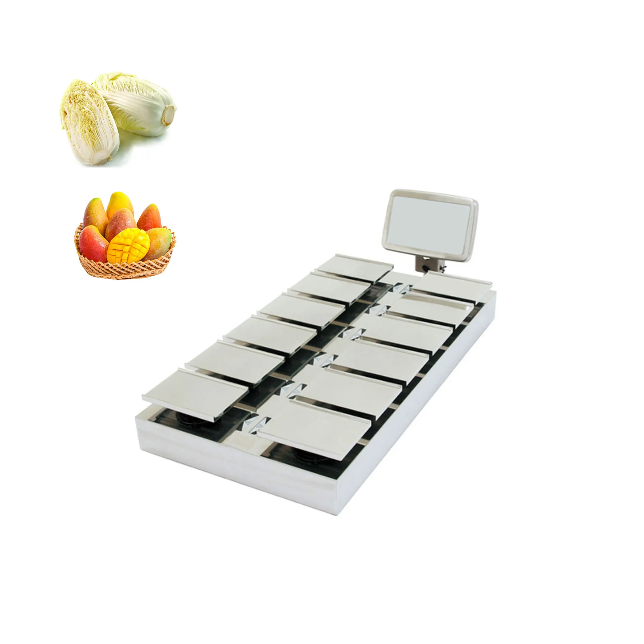 Manual Weighing Beef Steak Fruit Vegetable Desk-Top Combination Weigher Weighing Machine