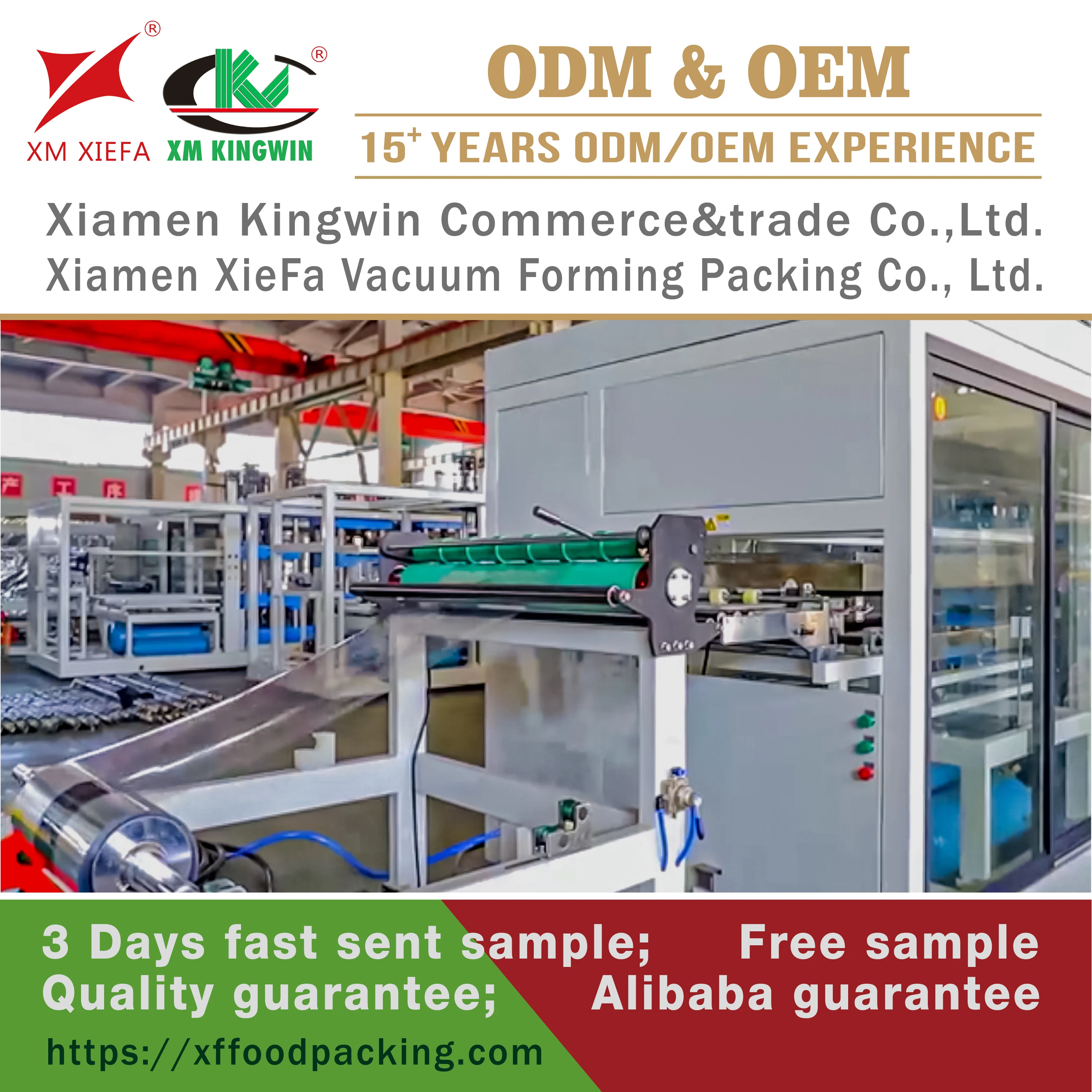 RPET Grape Strawberry Boxes Food Grade Recyclable Disposable Fruit Food Packaging Fruit Clamshells Plastic Box Blister Box