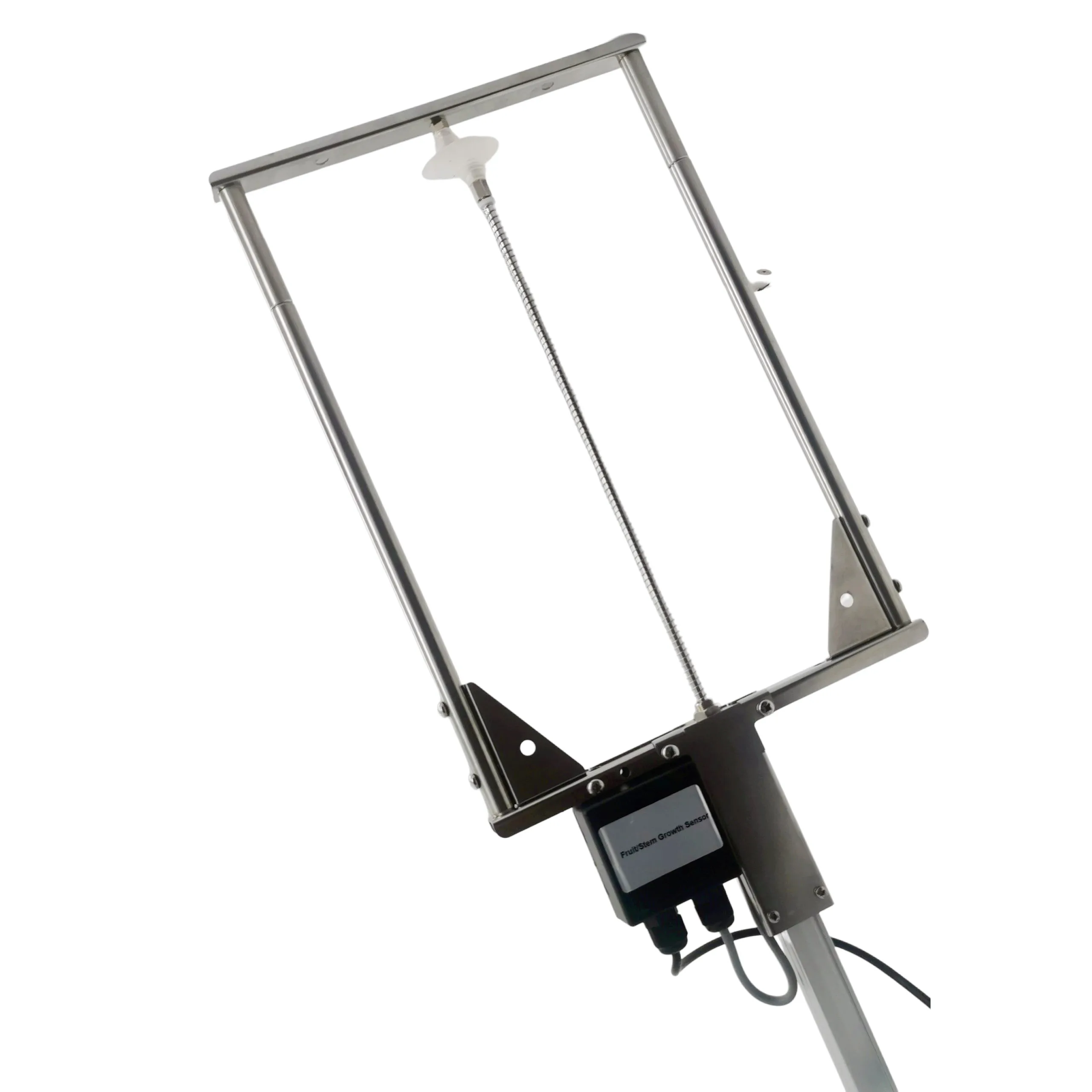 ONLINE MONITORING AGRICULTURE GREENHOUSE FRUIT DIAMETER PLANT STEM GROWTH SWELLING SENSOR