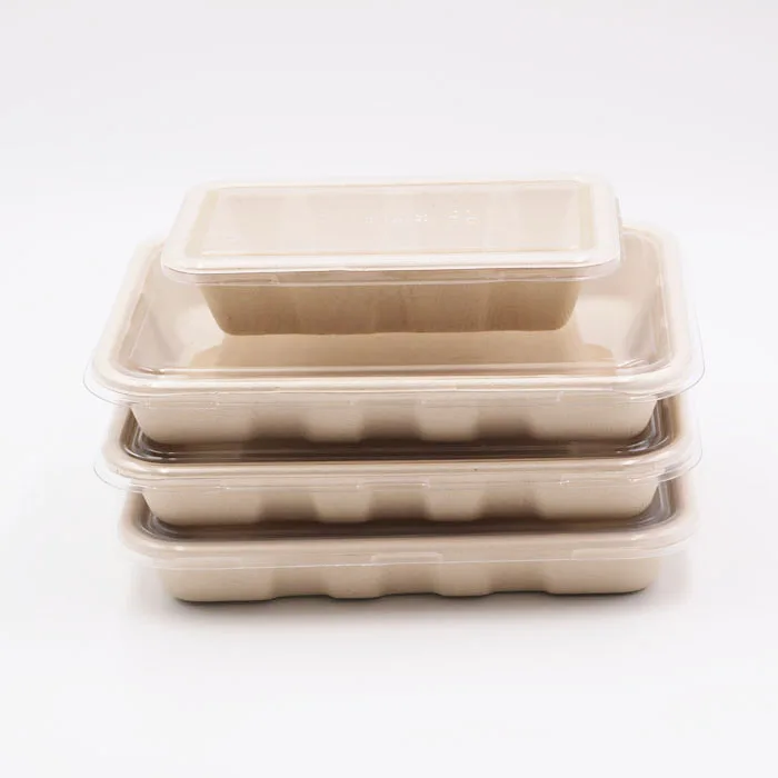 disposable sugarcane bagasse food tray with plastic cover lid