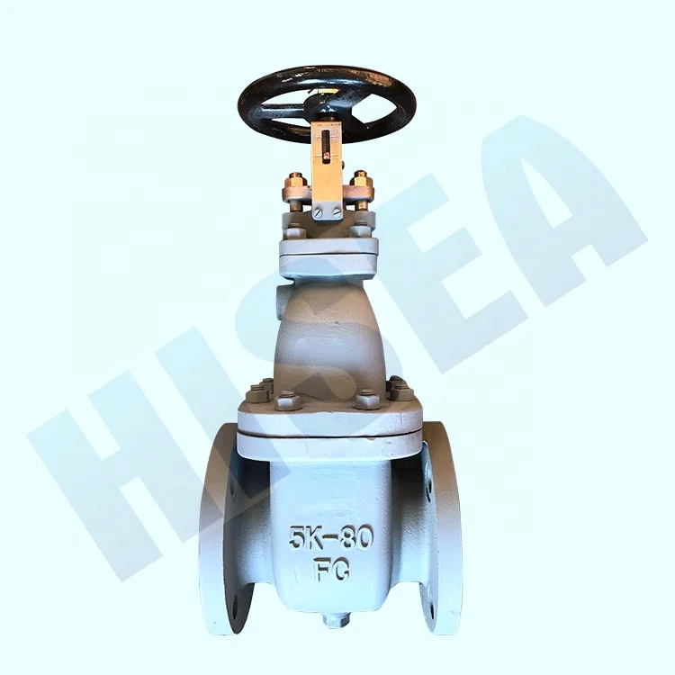 
Good quality JIS cast steel gate valves for marine use 10K 