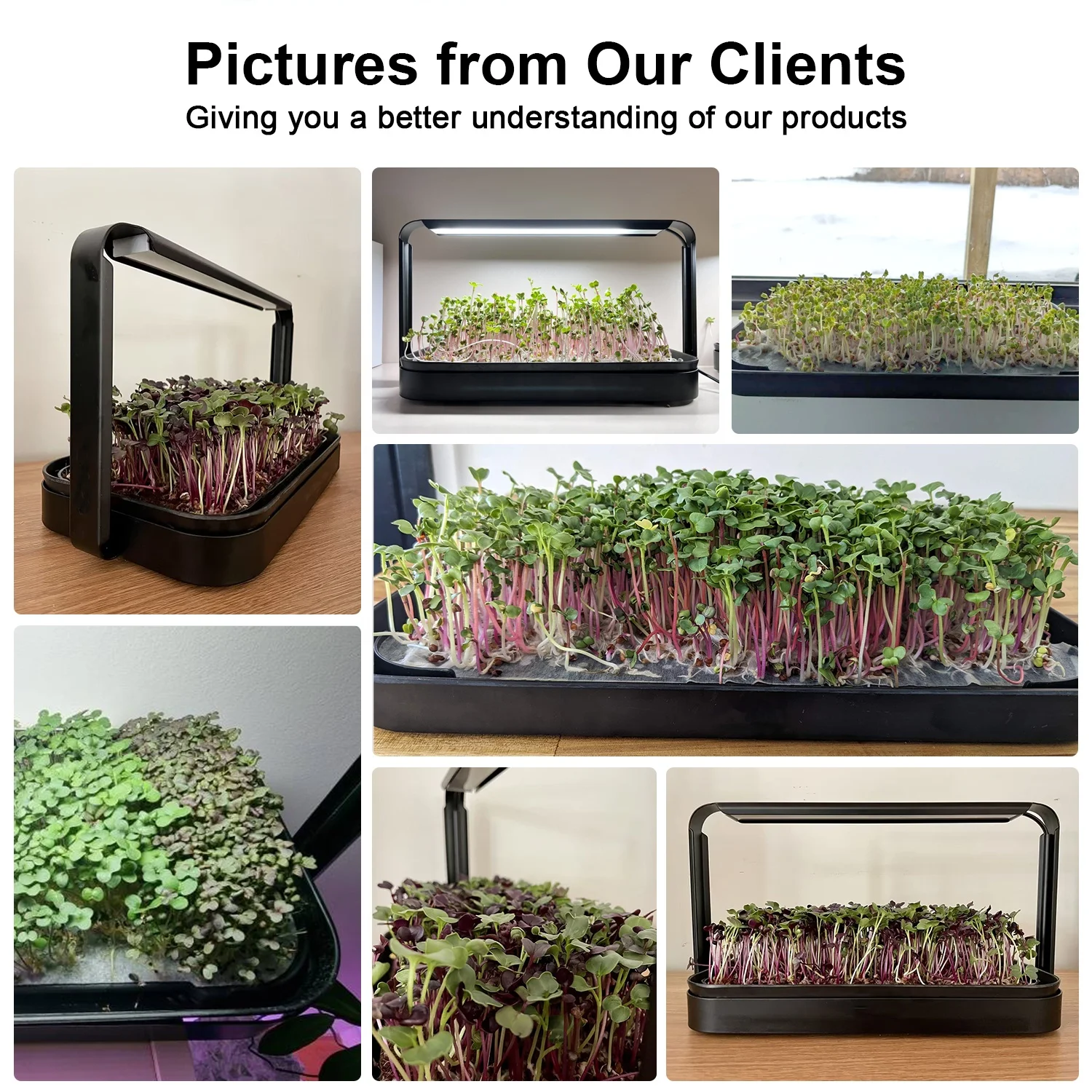 mini smart growing system kit grow hydroponic indoor garden grow