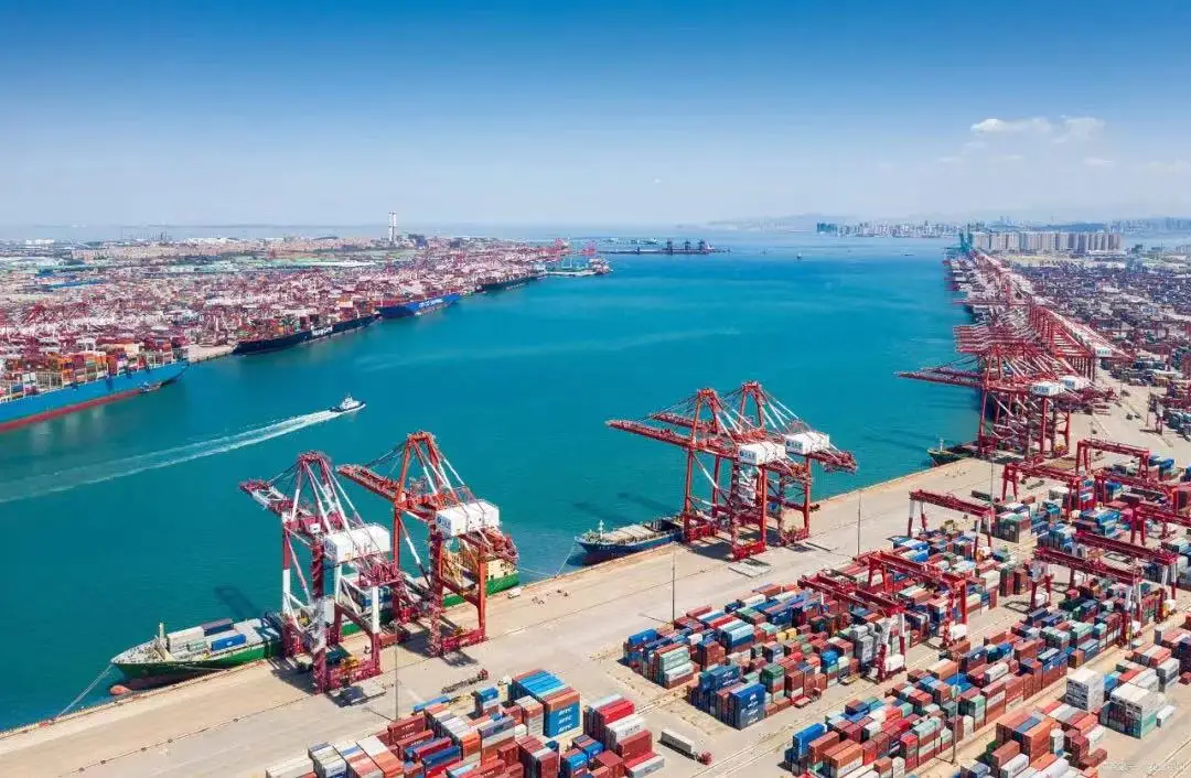 Logistics Company DDP Door to Door Sea Shipping from China to USA Professional Sea Freight Forwarder USA CANADA FBA