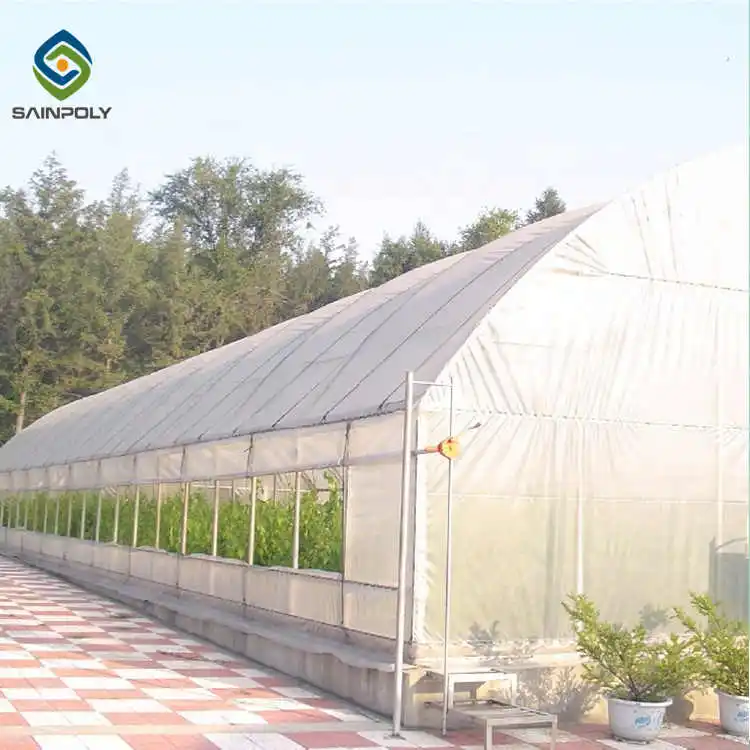 JDYApoly low cost mini poly tunnel agriculture green house vegetable high polythene tunnel garden greenhouse for tomato