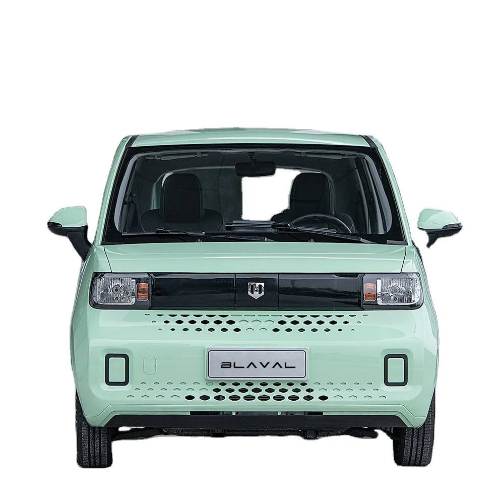 EEC 100KM/H high speed smart 5 seat electric car electric vehicle