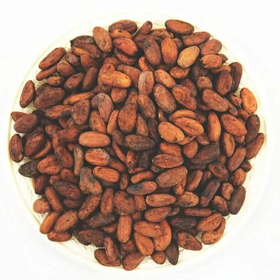 Organic Cocoa Beans Certified Organic Cacao Beans Roasted and Dried Packed in Bag