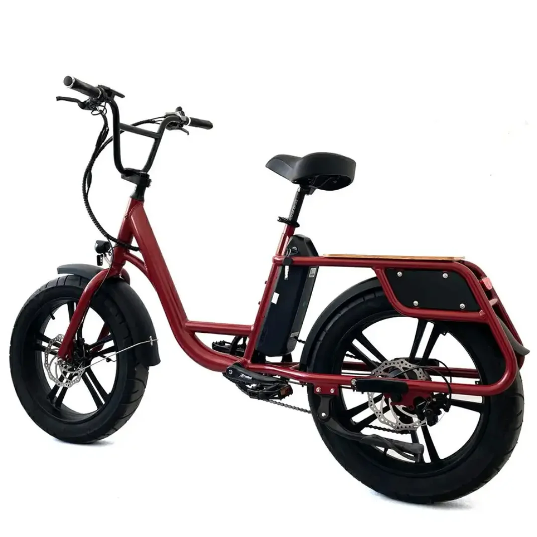 48V 20A intelligent controller Customized LCD Display Mini Cargo Bike