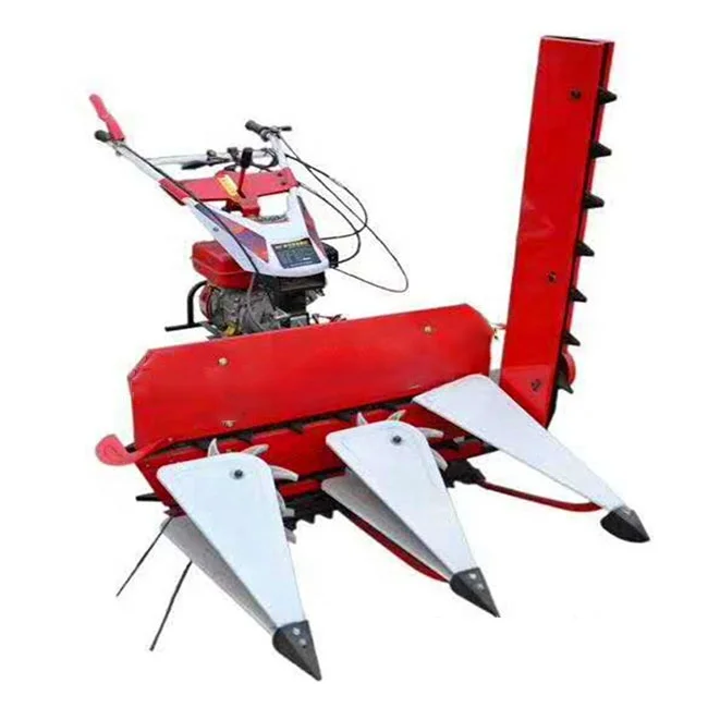 Large capacity wheat harvester