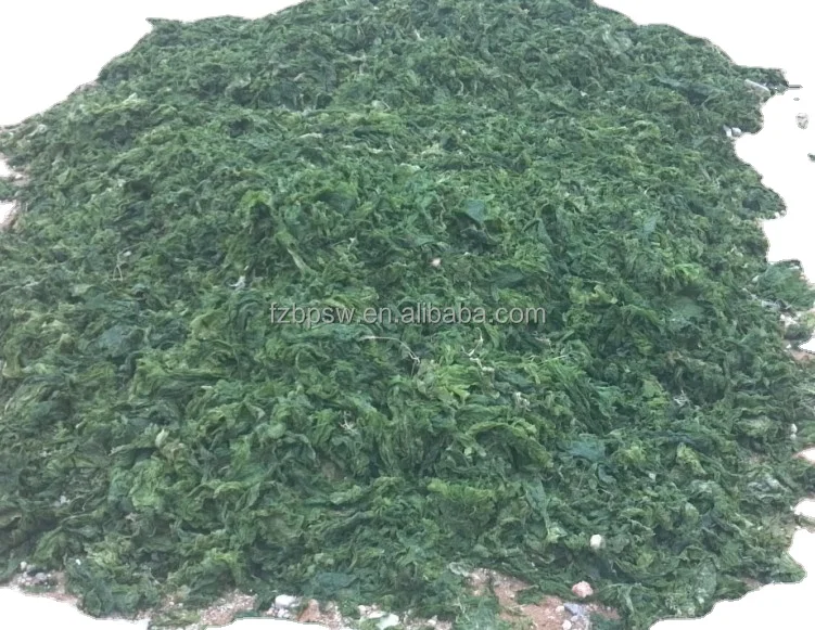 Pure ulva seaweeds Dried Seaw moss vegetables cattle fish meal poultry feed sea lettuce