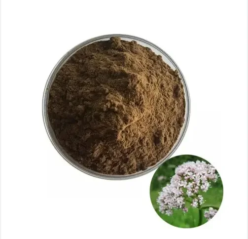 Factory Wholesale Valerenic Acid 0.8% Bulk Valeriana Officinalis  Valerian Root Extract
