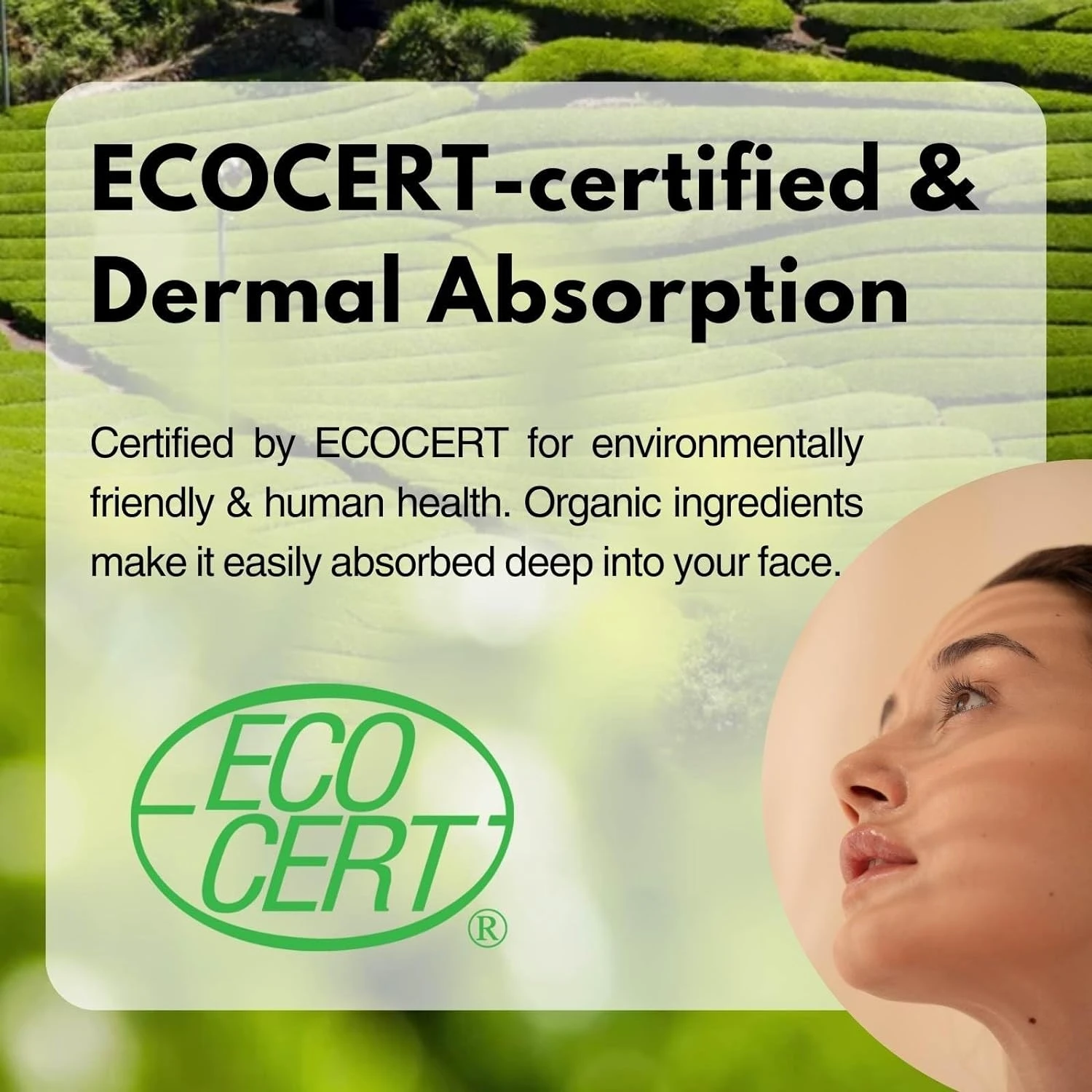 Kitao Japan Organic Uji Matcha Green Tea Facial Toner Refreshing Moisturizing Hydrating Face Body Toner Lotion For Women