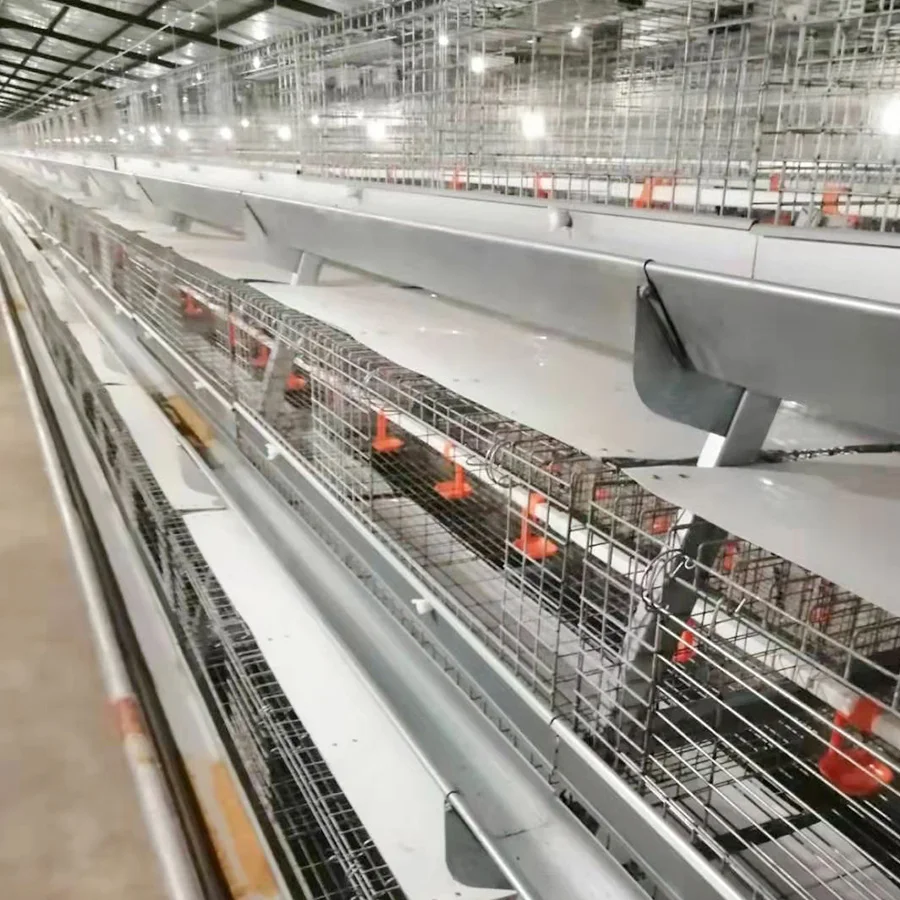 Poultry Farm Equipment Hot Dipped Galvanized a Type 3 Tiers Pullet Layer Rearing Chicks Chicken Cage for Sale