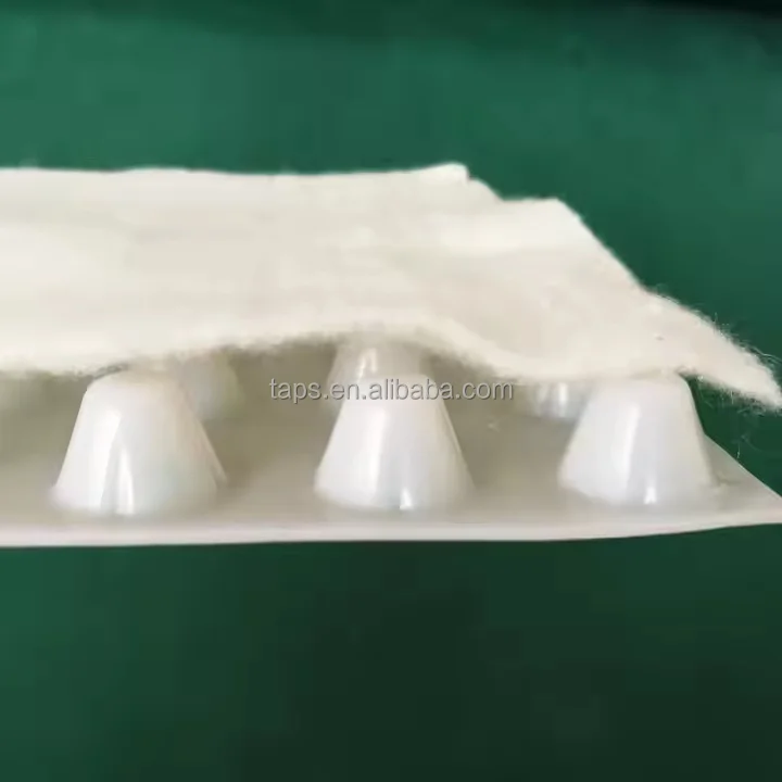 China geotextile drainage board composite drainage boards