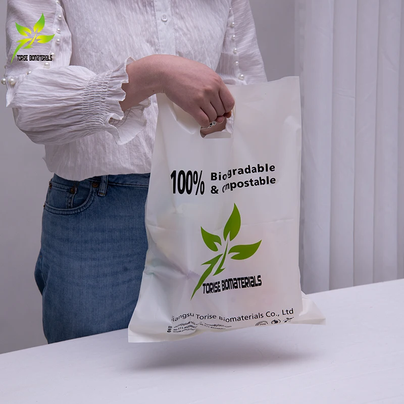 Frosted Biodegradable Shopping Bag with Side Gusset and Gravure Printing Low MOQ Plastic Bags with Custom Logo