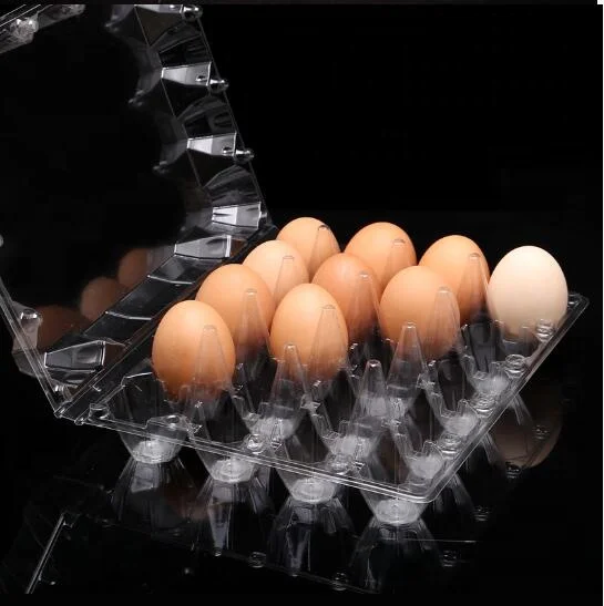 
Factory Price Disposable RPET/PET Clear Blister Plastic Chicken Egg Packing Box Big Egg Tray For Supermarkets 