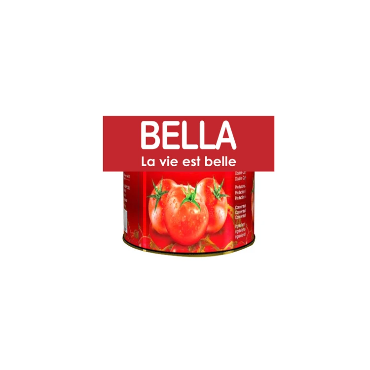 20 FOOT 1700 CARTONS POPELAR BELLILA FACTORY DIRECTLY SALE FRESH TOMATO PASTE BRAND PRODUCED IN EUROPEAN Global export