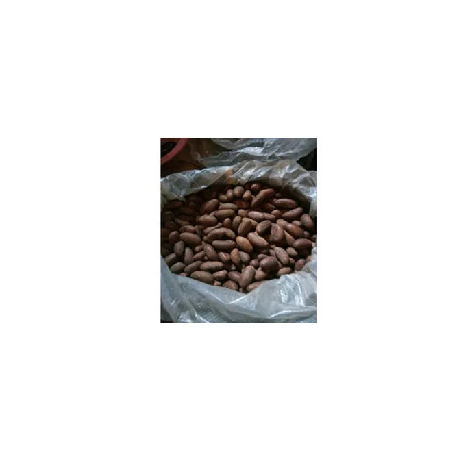 Origin Type Walnut Organic Fresh Nuts Chufa Nut Green Packaging Grade Product West African Bitter Kola Nut