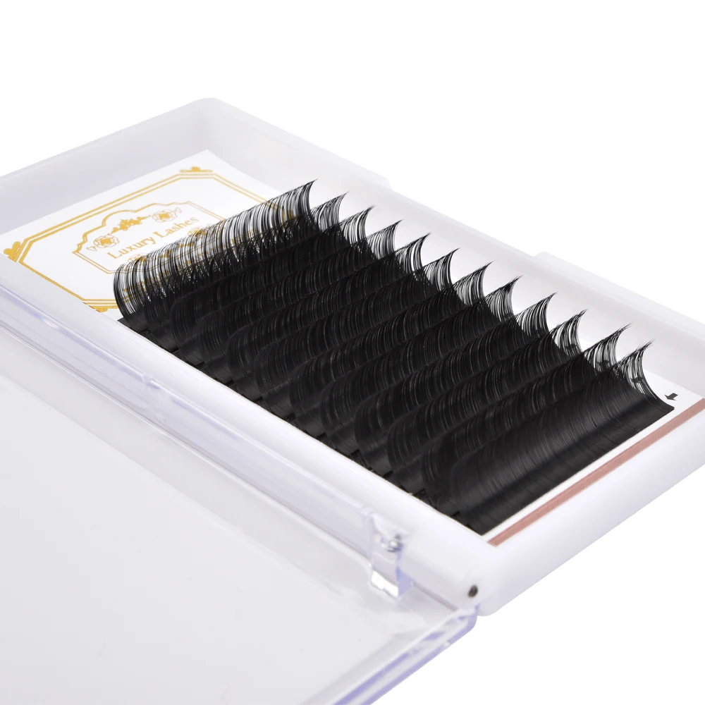 
Private Label Individual lash Extensions Tool Professional Eyelash Extension Kit Extension sets 