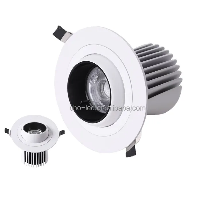 10w Gimbal ceiling light 4.jpg
