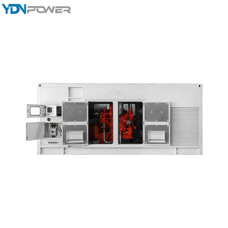 Best Selling Noise Reduction Eeconomical Breeding Use Emergency Generation 300kW Biogas Natural Gas Generator Set