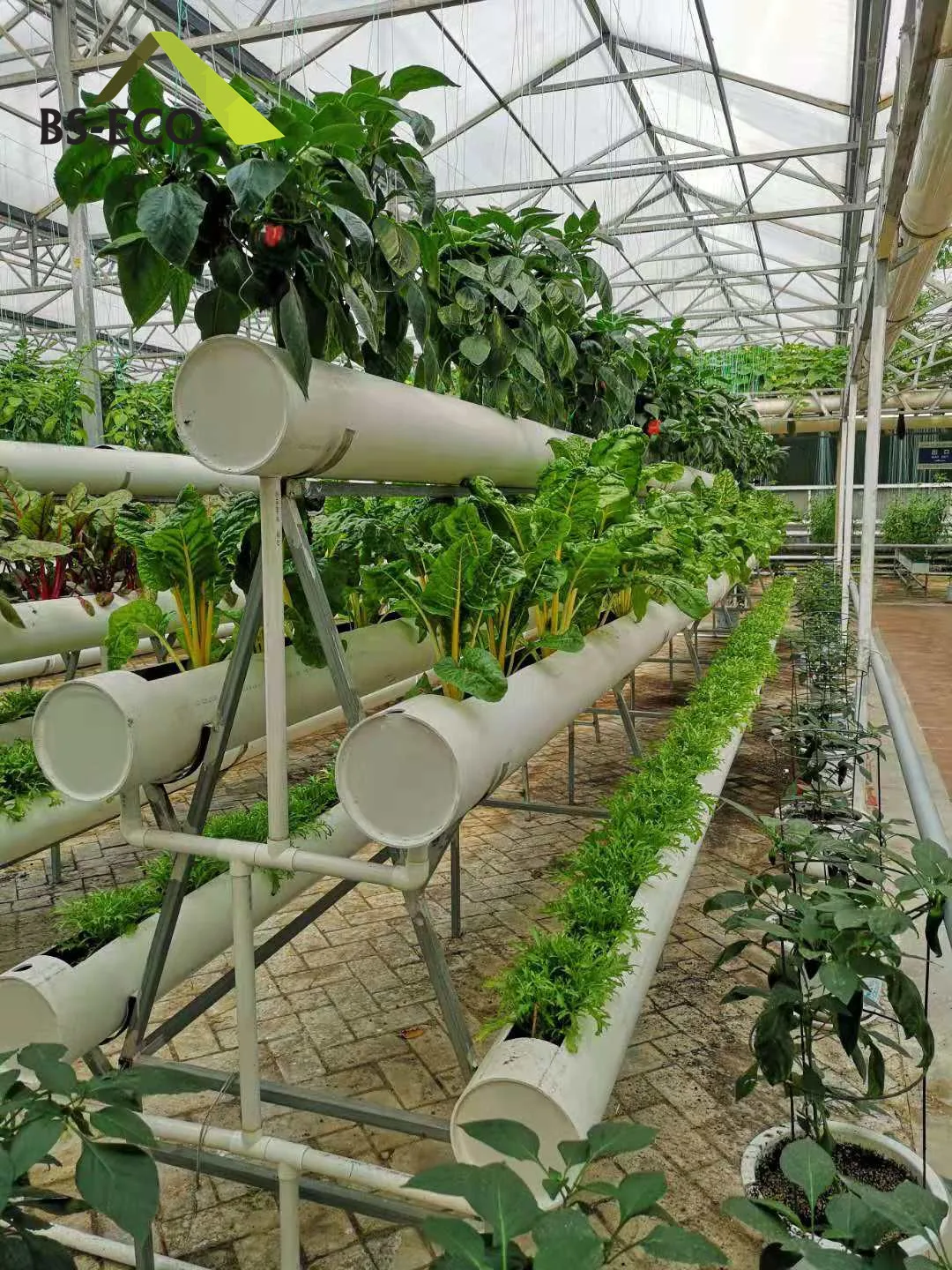 A Frame Vertical Flat Planting Frames Hydroponic Growing System