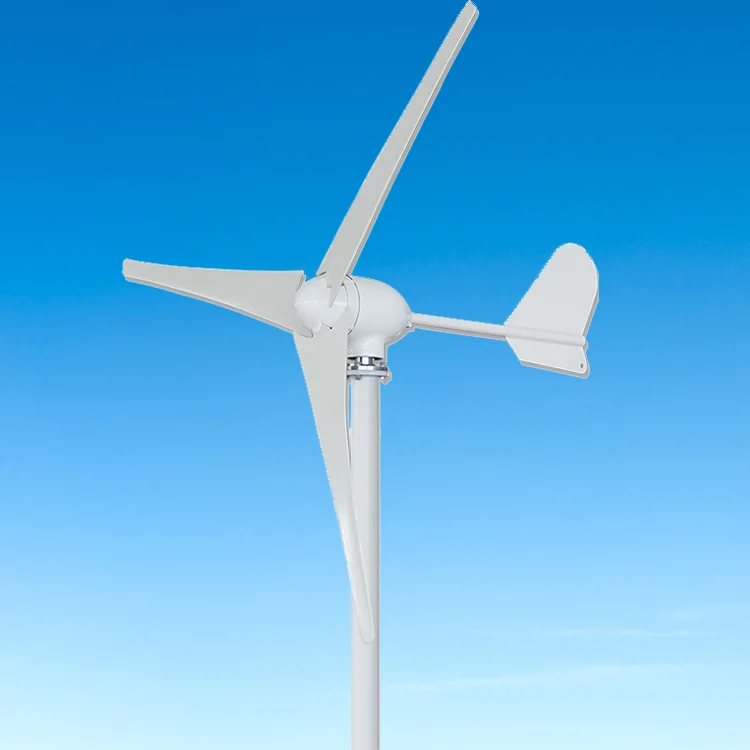 3 Blades Windmill Wind Turbine Generator High quality 1000W 48V With Mppt Charge Controller For Home Use