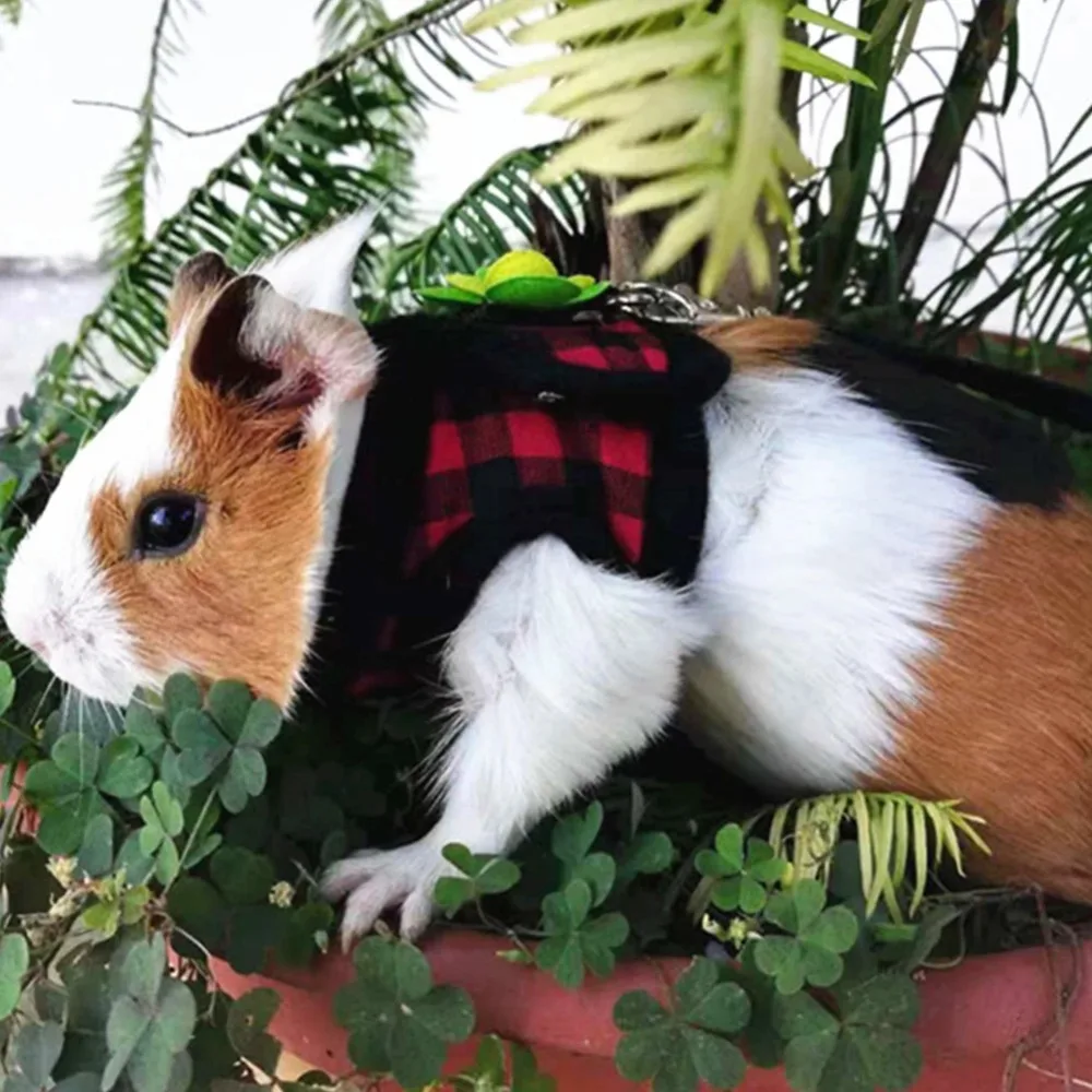 Adjustable Guinea Pig Harness Leash Set Outdoor Traction Rope for Hamster Chinchilla Mice Rat Ferret Rabbit Animal Accessories