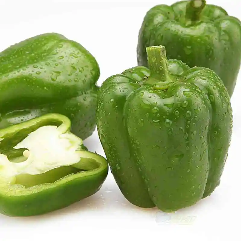 
China Fresh Green PepperWith Lower Price 