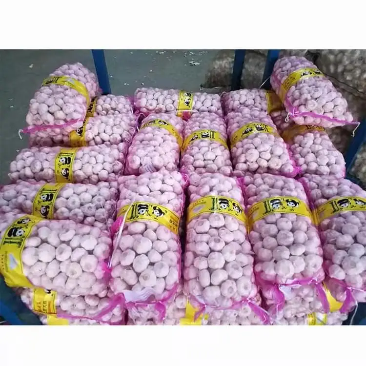 2022 new season Chinese fresh garlic ajo chino in cold storage of a garlic export pure white normal white garlic market price