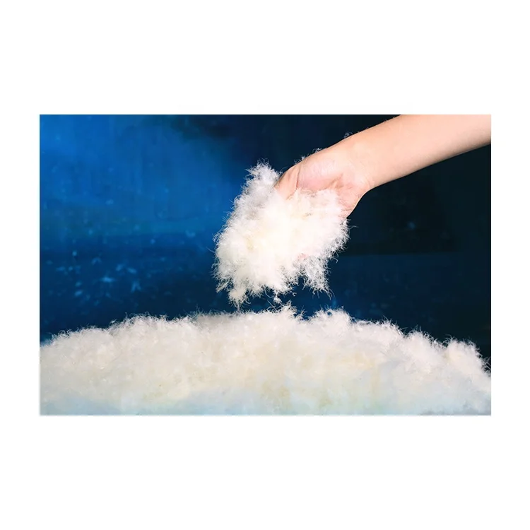 
2021 75% wholesale low price commercial soft cold-proof hot down filler bulk white duck down 