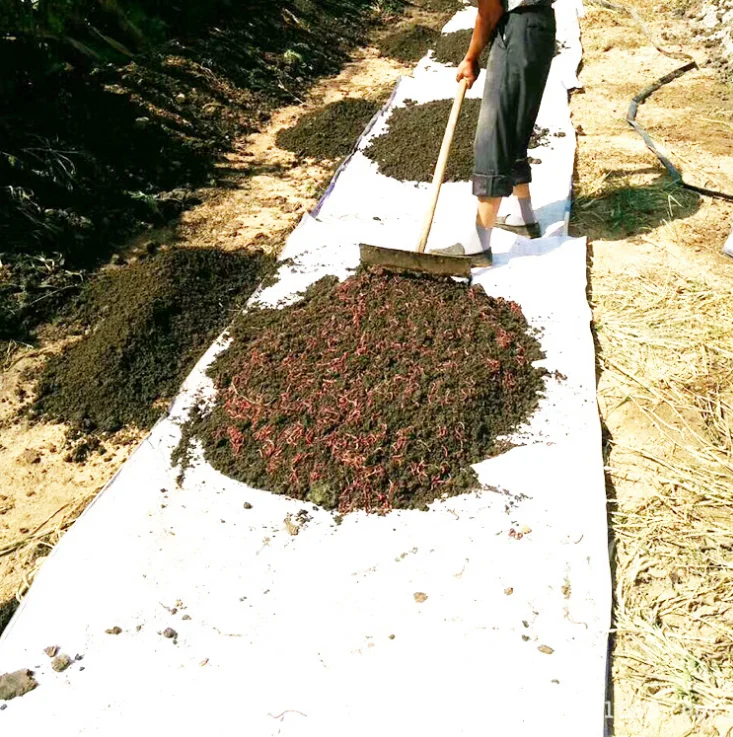 Микробное удобрение Vermicompost для улучшения